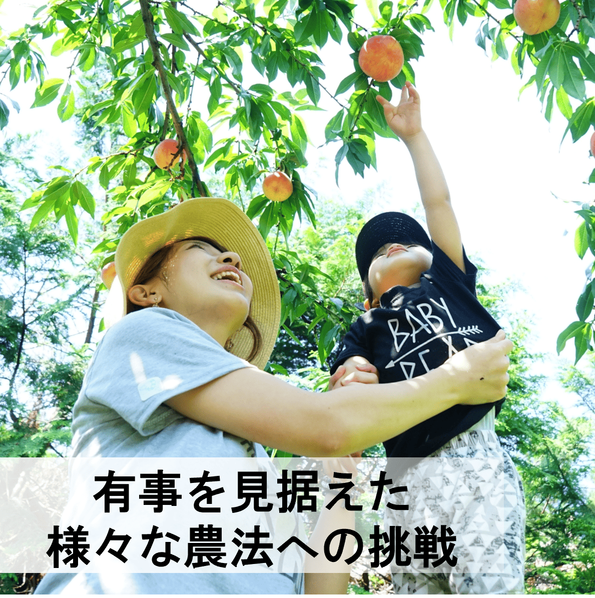 有事を見据えた様々な農法への挑戦