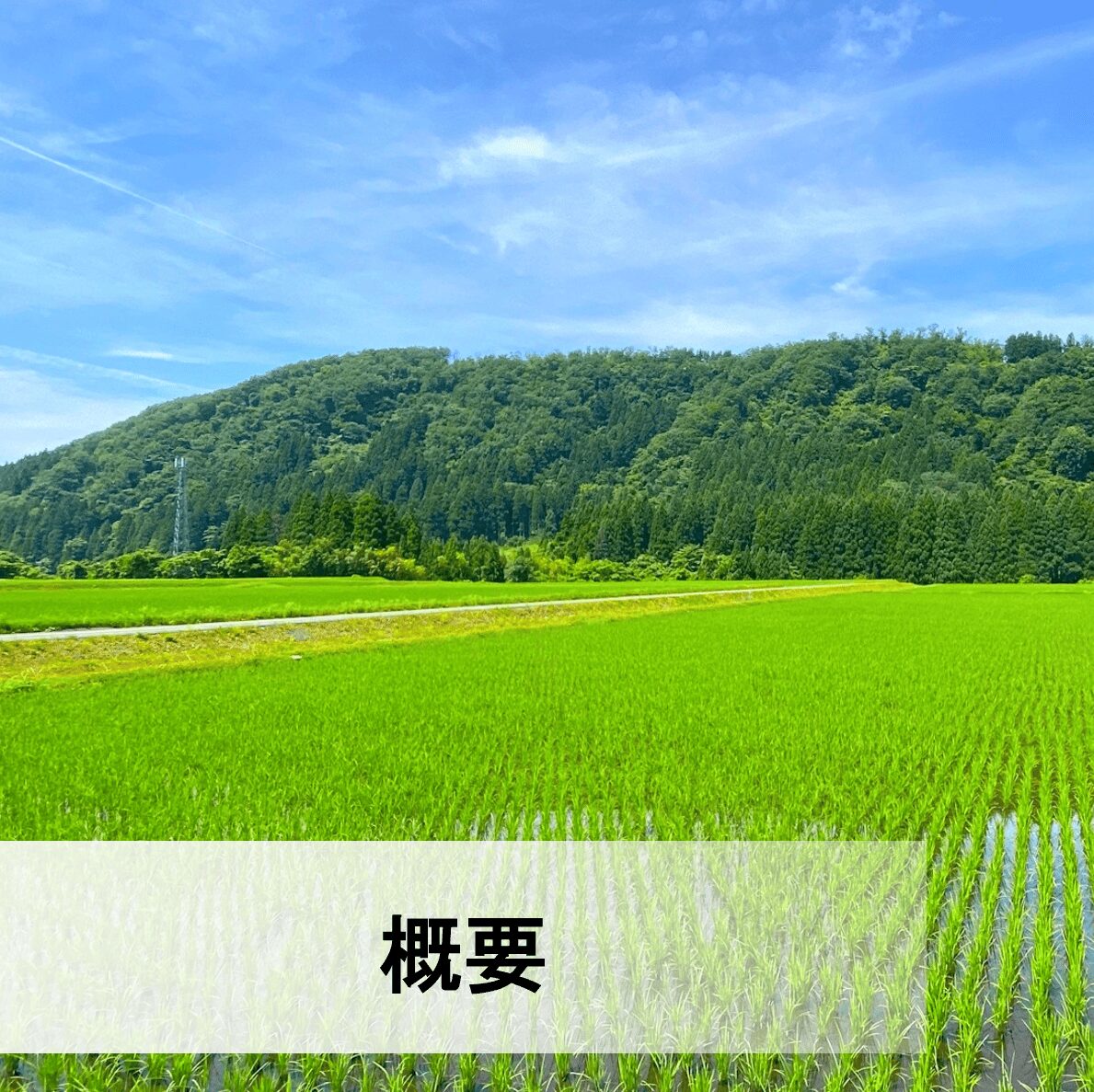 概要